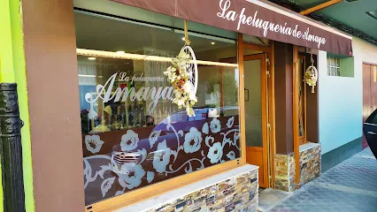 Peluquerias Amaya