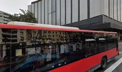 Peluquerias Romero Señoras
