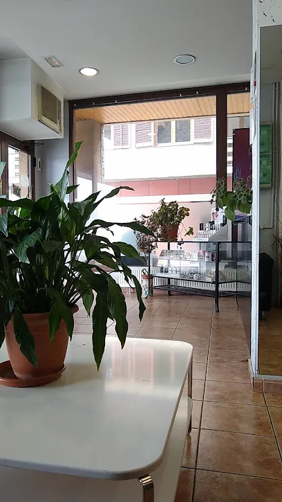 Perruqueria Elis