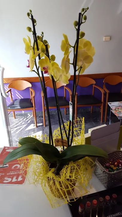 Perruqueria María Rosa