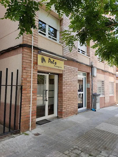 Perruqueria Pèls