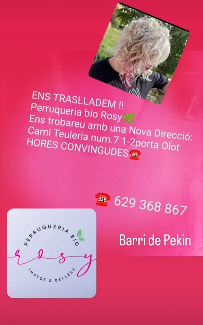 Perruqueria Rosy