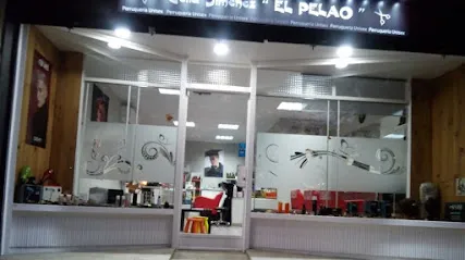 Perruqueria_elpelao