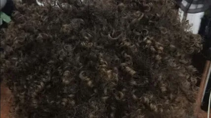 Pilar rosillo peluqueria