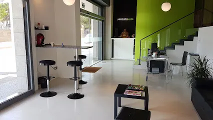 Pimienta Verde - Creative Styling - Peluquería