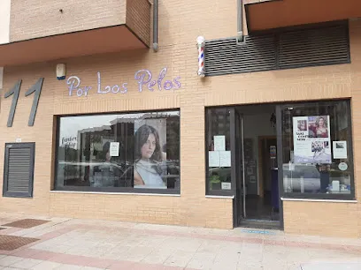 Por los pelos
