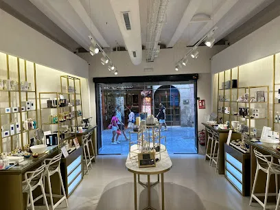 Premier SKINCARE