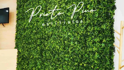 Prieto Pino Estilistas