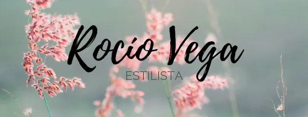 Rocío Vega Estilistas (Peluquería)