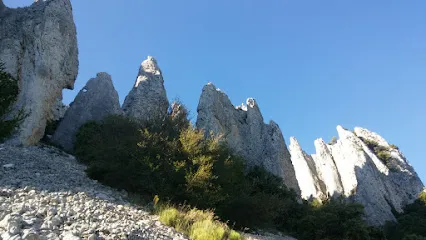 Rosa Belén Ujaldon Reche