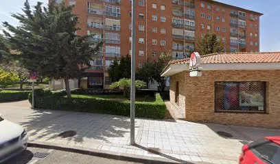 Rosa Del Castillo Aguilera