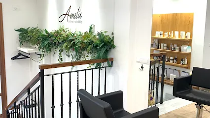 Salón Amelís