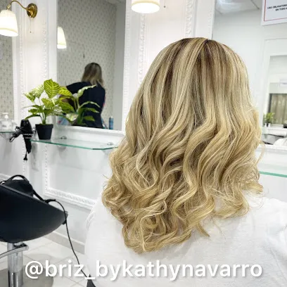 Salón Briz Peluquería y Estètica Mixta