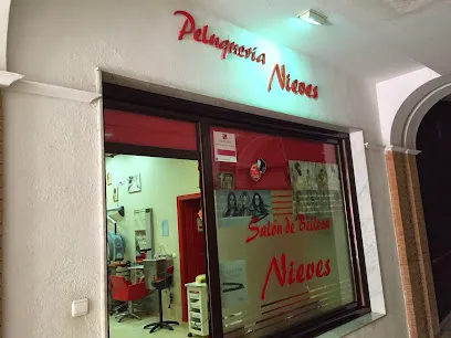 SALON de BELLEZA NIEVES