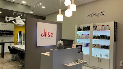 Salón de peluquería Dilse