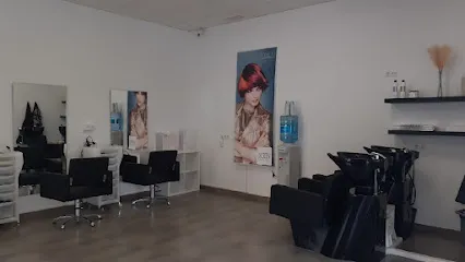 Salón de Peluquería Estilista