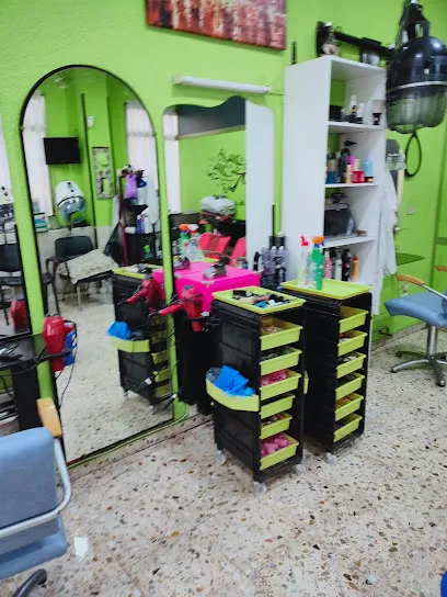 Salón de Peluquería Gemma Nieva