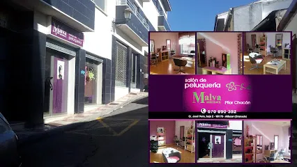 Salón de Peluquería MALVA Unisex