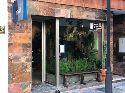 SALÓN N-.87