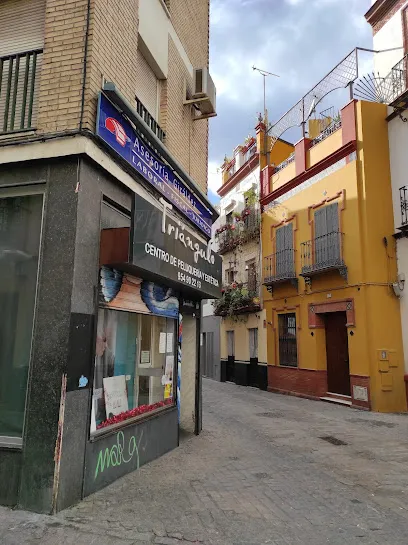Salón Peluquería y Estética Triángulo