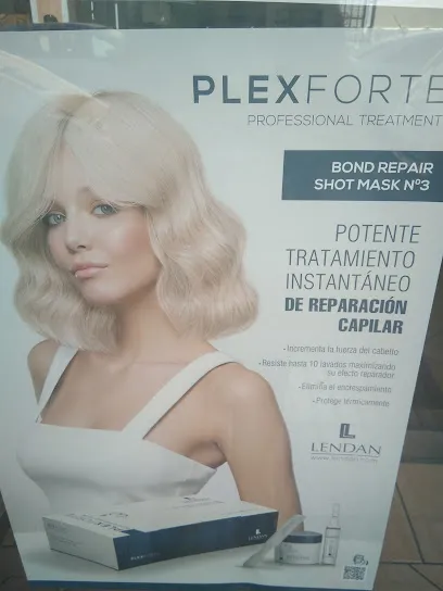 Salon.com