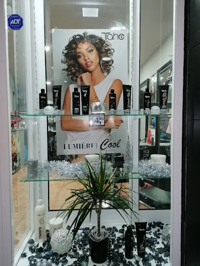 Sandra Quesada Peluqueria Unisex
