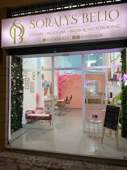 Soralys Bello | Estudio & Academia