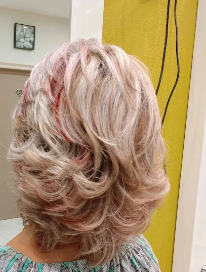 Styl Perruqueria