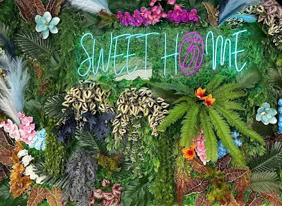 Sweet Home