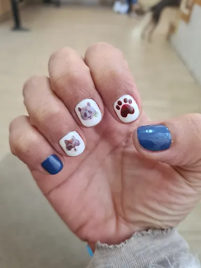Taller de uñas Alegre