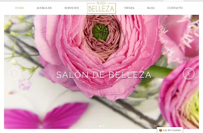 Tedo y Belleza