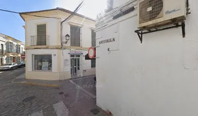Top Stetic Maria José Jimenez