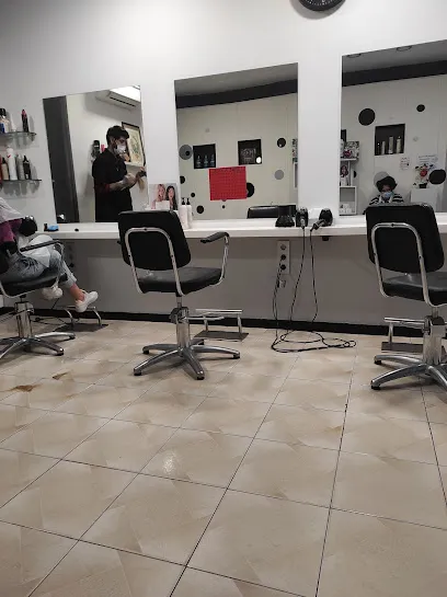 V Styl Peluqueros