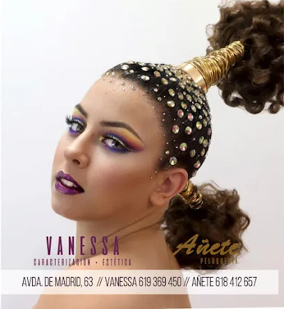 Vanessa de Voel