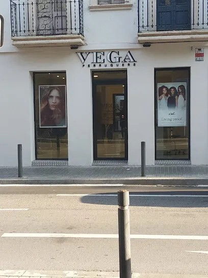 Vega Peluqueros