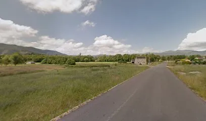 Xanela