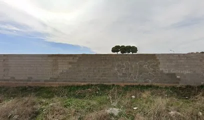 Xtravagancia