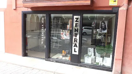 Zentral Ileapaindegia